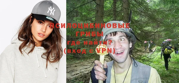 ECSTASY Новодвинск