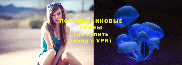 ECSTASY Новодвинск