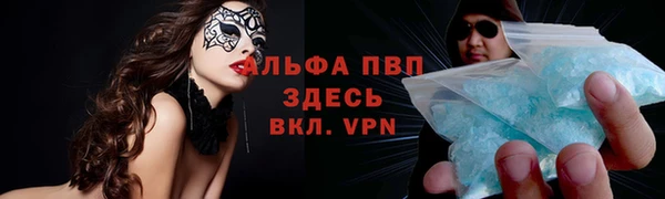 МДПВ Новозыбков