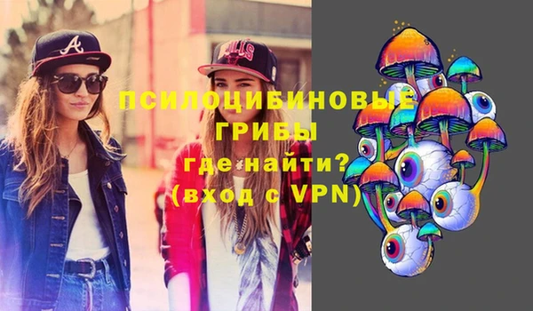 гидропоника Новокубанск